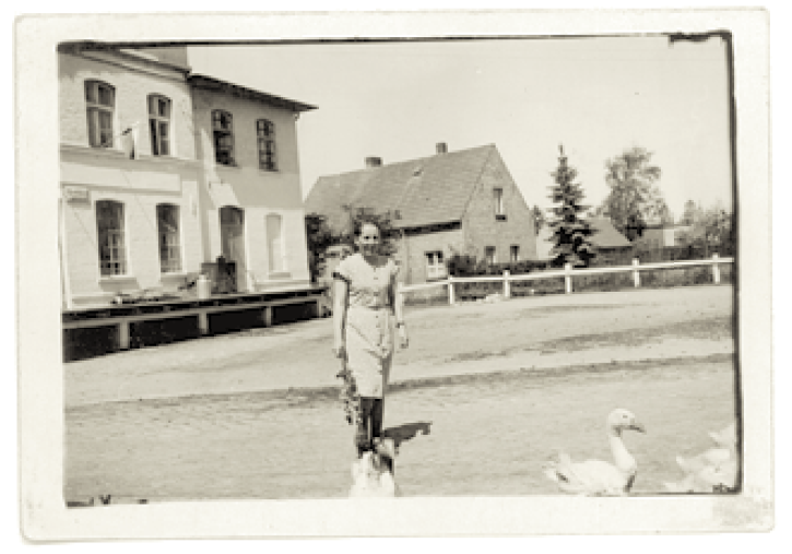 Leonarda Kurowska na placu przed mleczarnią zagania gęsi, rok 1950.