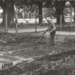 Pradziadek Tadeusz Mądrzyk